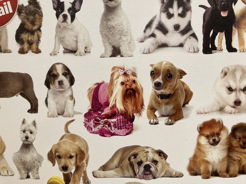 Rompecabezas Eurographics 2000 piezas títulos El mundo de los perros - Imagen 8 de 9