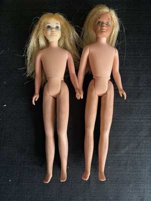 2 Barbie skipper dolls straight leg straight hair (one has damage to its nose)