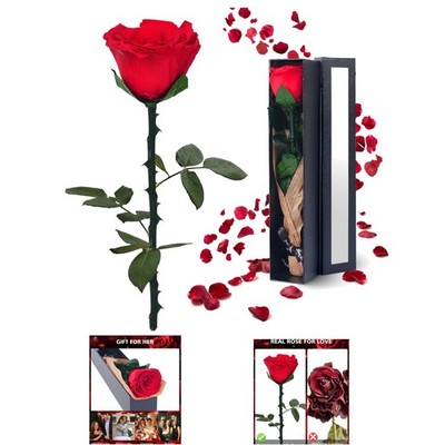Forever Red Rose   Lasting Flower Gift for Her: Perfect for Valentine s and More