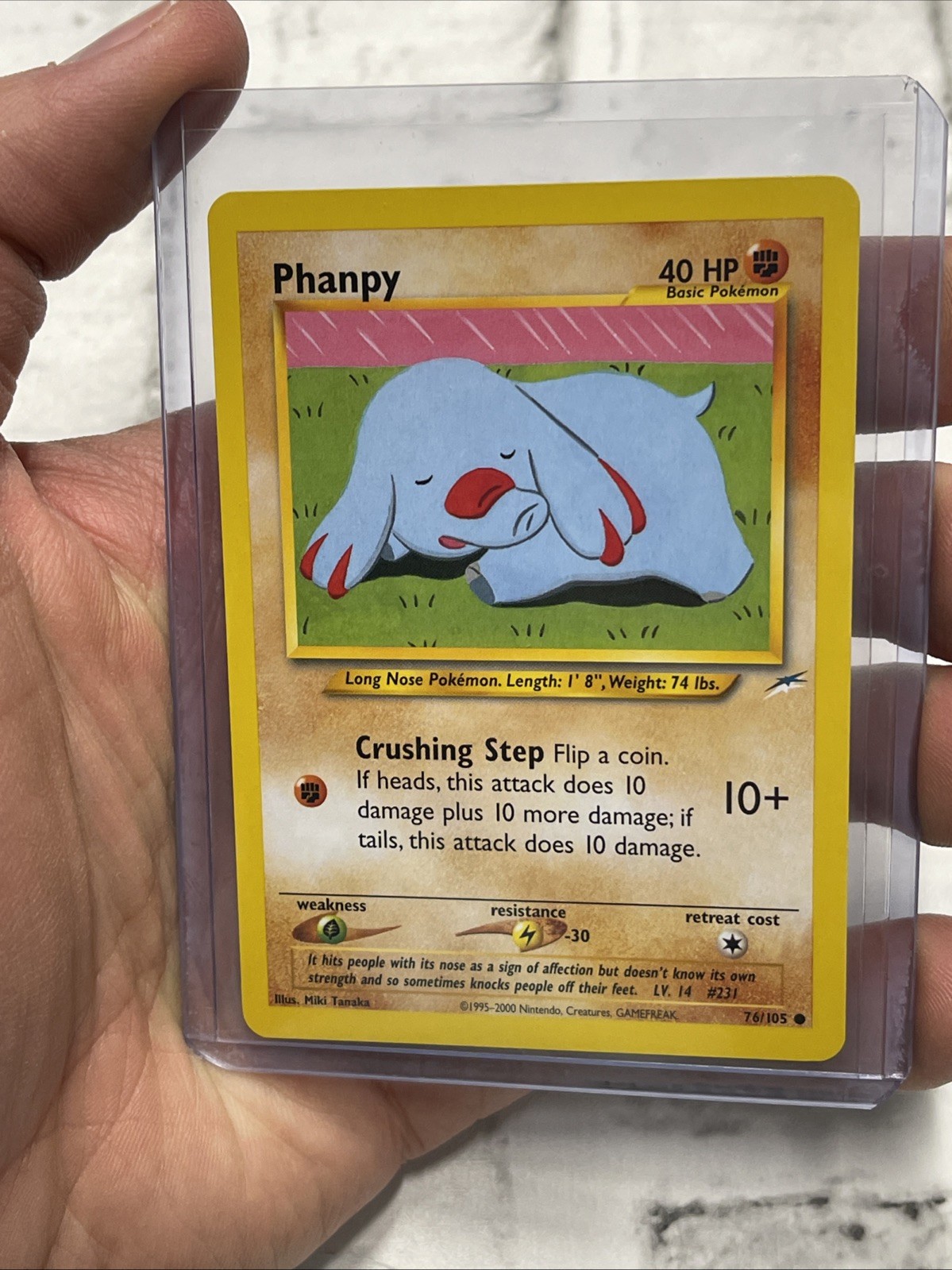 Pokemon Card - Neo Destiny 76/105 - PHANPY (common) - NM/MT Vintage Vtg Nintendo