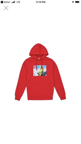 Supreme x The North Face Hoodie FW18 