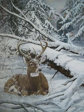 The Deer Tracker by Wildlife Artist Jack Paluh **WITH FREE Print - Thank You God