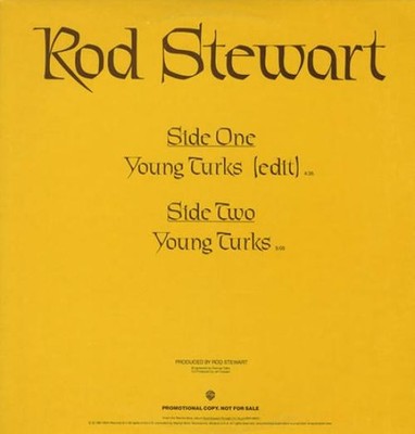 Rod Stewart - Young Turks (12'') (Very Good (VG)) - 4104807942