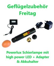 Schierlampe