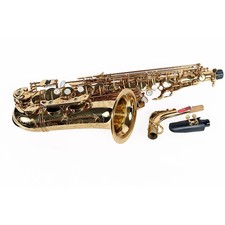 P. Mauriat PMXA-67R Professional Alto Saxophone Gold Lacquer 197881180737