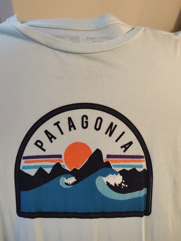 Mens Patagonia T Shirt xl Slim fit $55
