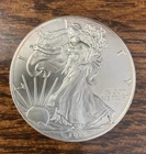 2013 US Mint American Eagle Dollar 1 oz silver coin in Uncirculated condition