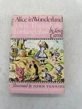 Ailce in Wonderland & Through the Looking Glass Lewis Caroll Illustrated Junior
