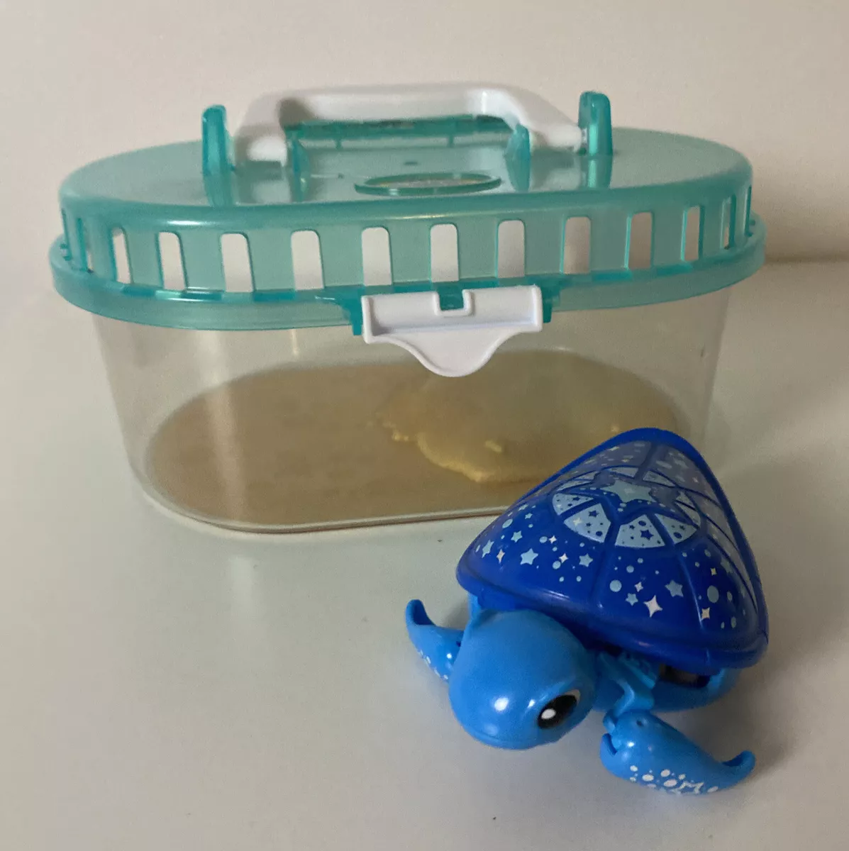 Best little on sale live pets