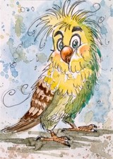 ACEO Original Art Card ATC Watercolor OOAK Signed Parrot Bird Painting