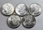 LOT OF 5 MORGAN DOLLARS GEM BU+++! PHENOMENAL COINS! INSANE QUALITY! NR #G2285
