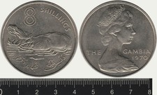 Gambia: 1970 8 Shillings 8/- QEII Hippopotamus, copper-nickel