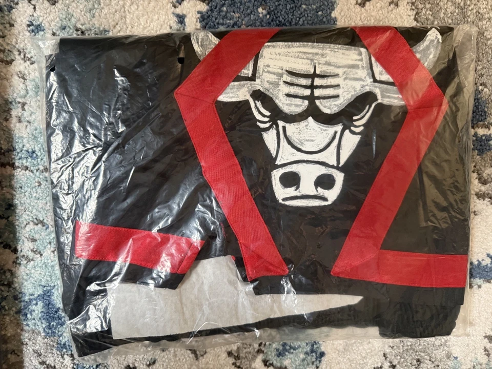 Chicago Bulls Team Issued 2023-24 City Edition Shorts 44R  - Image 2 of 4