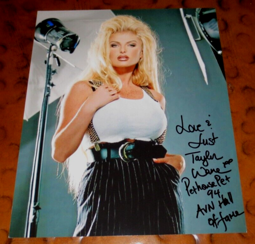 Taylor Wane signed autographed photo Adult Film Star 8 x 10 glossy AVN HOF