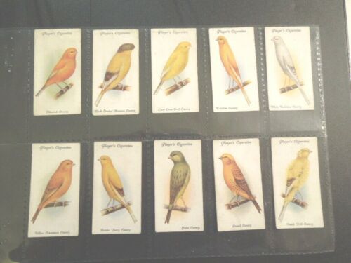 1933 Voliere - & Käfig Vögel Komplett Papagei Kanarienvogel Tabak Karte Set Mit - Bild 1 von 7