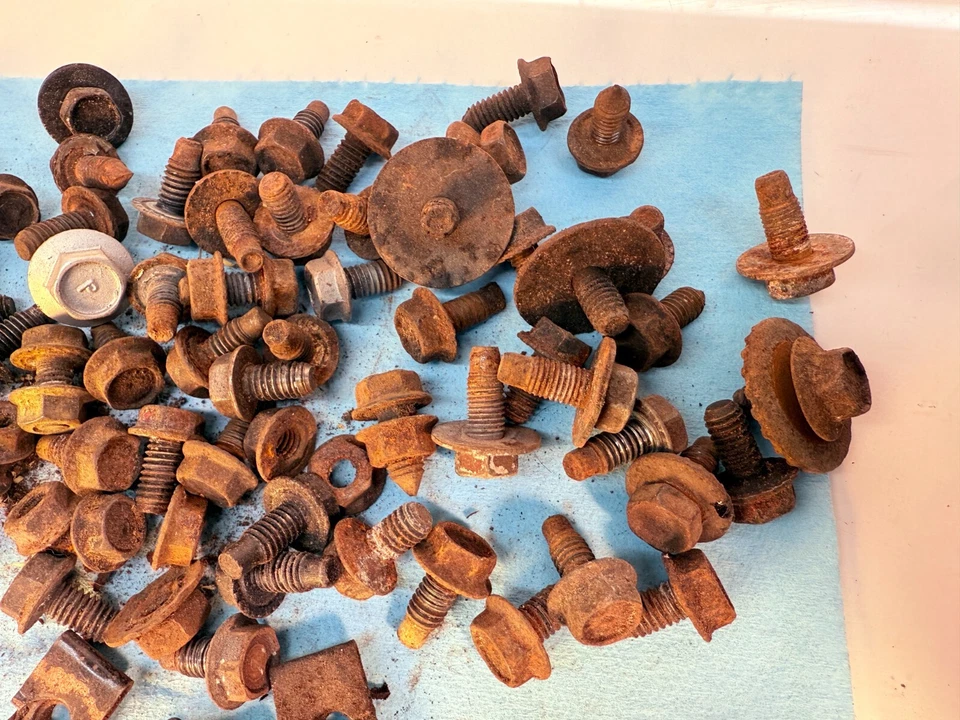 OEM 1959 1960 Chevy Impala Belair Bonneville pernos de guardabarros y tuercas ciegas B60-61 Foto 3 de 4