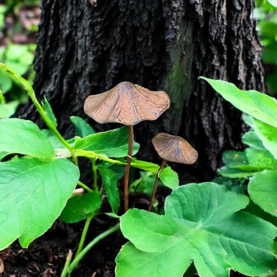 2pcs Herbst Deko Pilze Für Draußen, Dekopilze Outdoor, Gartenstecker Vintage Gar - Bild 3 von 4