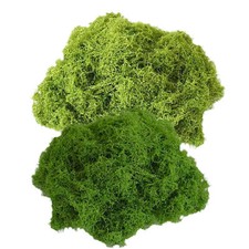 Artificial Plant Moss 100g Garden Micr.o Landscape Home Decor Craft