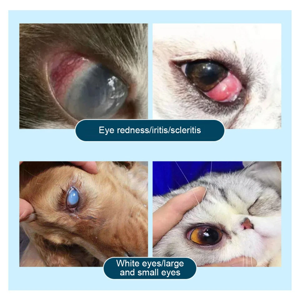1-5PCS Pet Cat Dog Eye Ointment Pet Eye Ointment Corneal Inflammation Eye Ointme - Image 3 of 4
