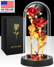 Valentines Day Rose Gifts for Her, Womens Gift for Birthday Gifts for Women Mom