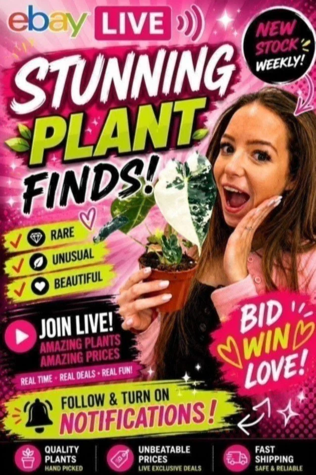 OH SO Floral Houseplants special!
