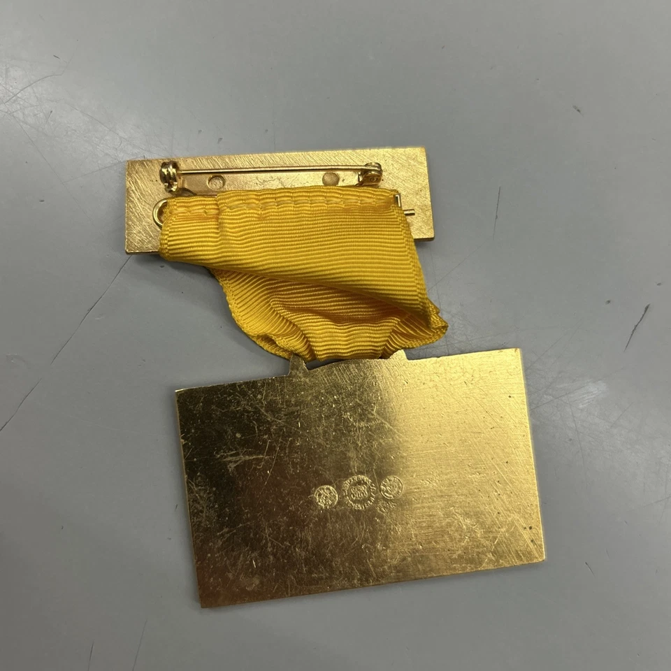 Insignia alternativa de la Convención Nacional Republicana 1972 Miami Beach Florida Nixon - Imagen 2 de 2