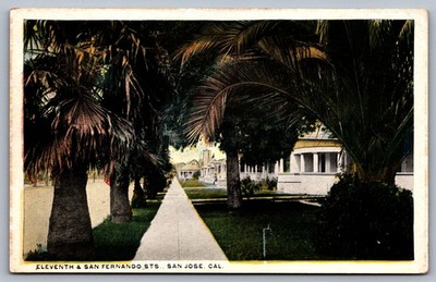 1920s Palm-lined Street View San Jose CA Postcard