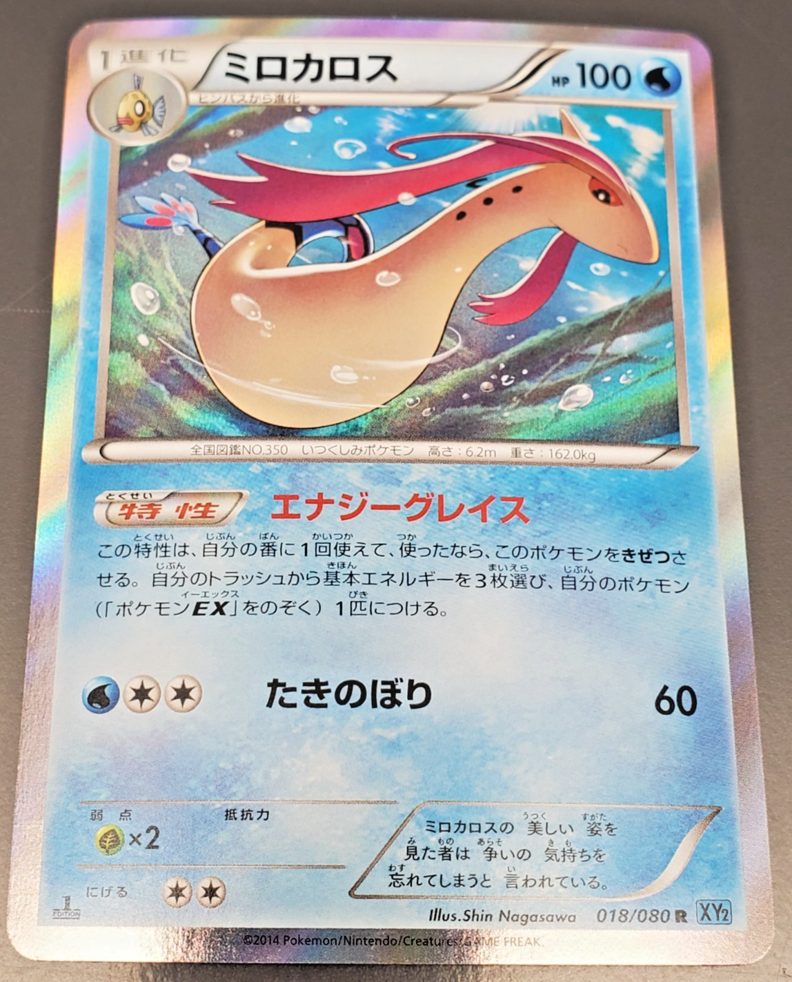 2014 Pokemon Wild Blaze Japanese XY2 - 1st Edition Holo - 018/080 Milotic