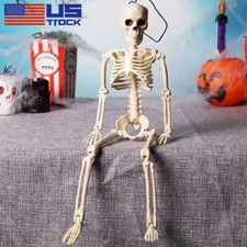 16 inch Halloween Skeleton Oversized Poseable Human Full Life Size Party Decor