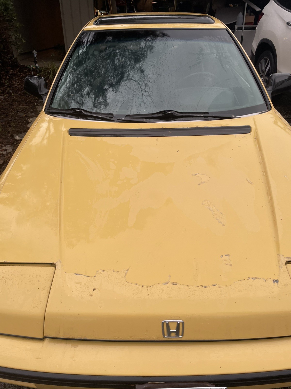 1988 Honda Prelude for sale in Carmichael California