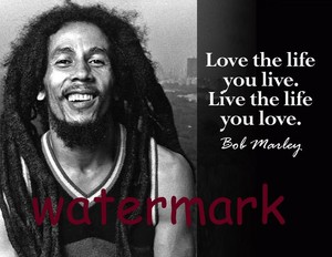 Bob Marley Love The Life You Live Live The Life You Quote Publicity Photo Ebay