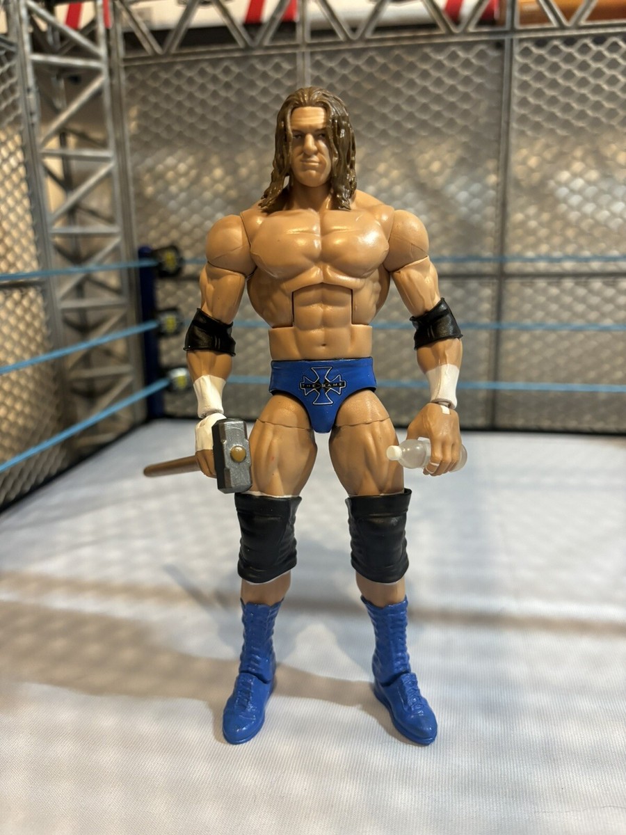 WWE CUSTOM Triple H Mattel Elite Action Figure Wrestling