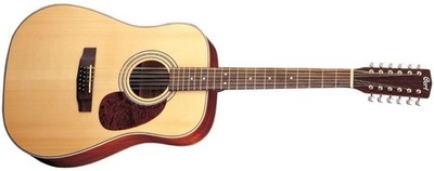 Cort Earth 70-12