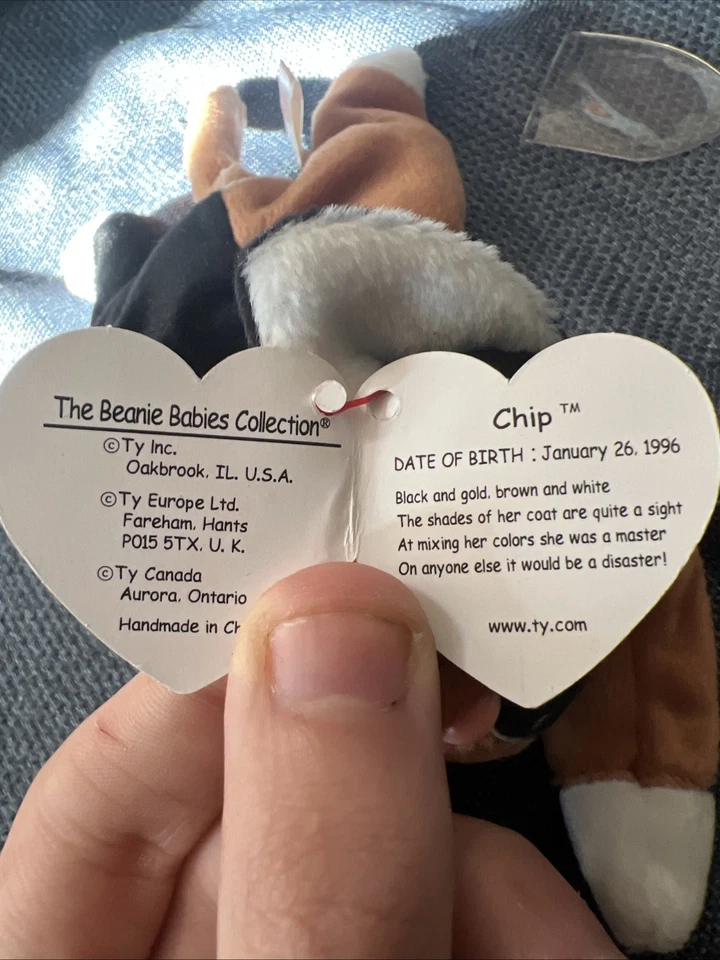 TY Beanie Baby Chip the Calico 猫 — 第 2/4 张图片