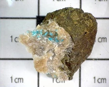 20709 MM Cavansite (Co-Type Locality) Lake Owyhee State Park Malheur County Oreg