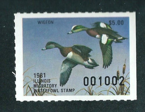 ILLINOIS STATE DUCK #7 - COME NUOVO MAI INCERNIERATO - SCV: $85,00