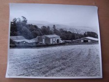 Agriculture Countryside - Edward W Hart - Cattle Sheds 10 x 8 inches inches