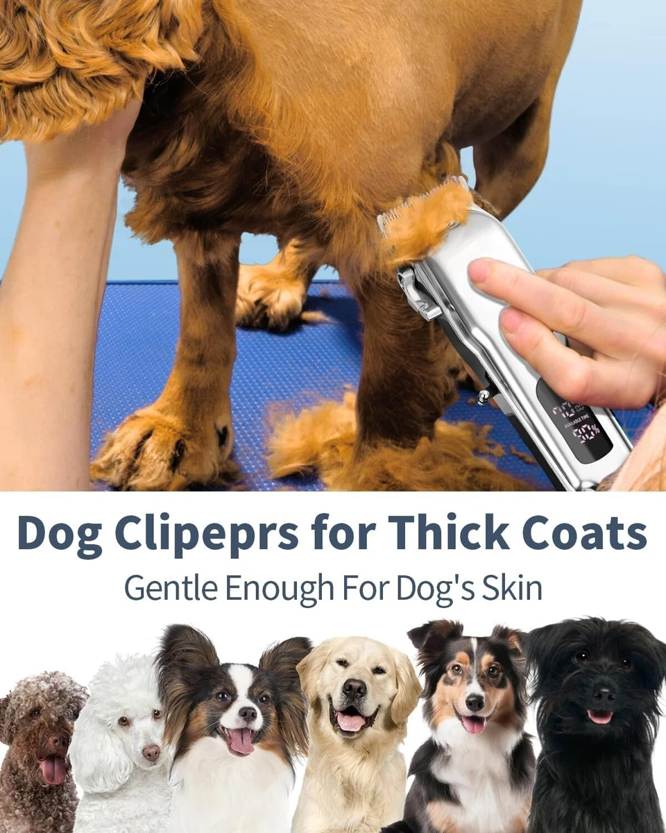 Pet clippers top for thick coats