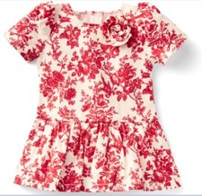 American Girl Doll Janie Jack Floral Toile Dress Mix Match 2022 NEW 