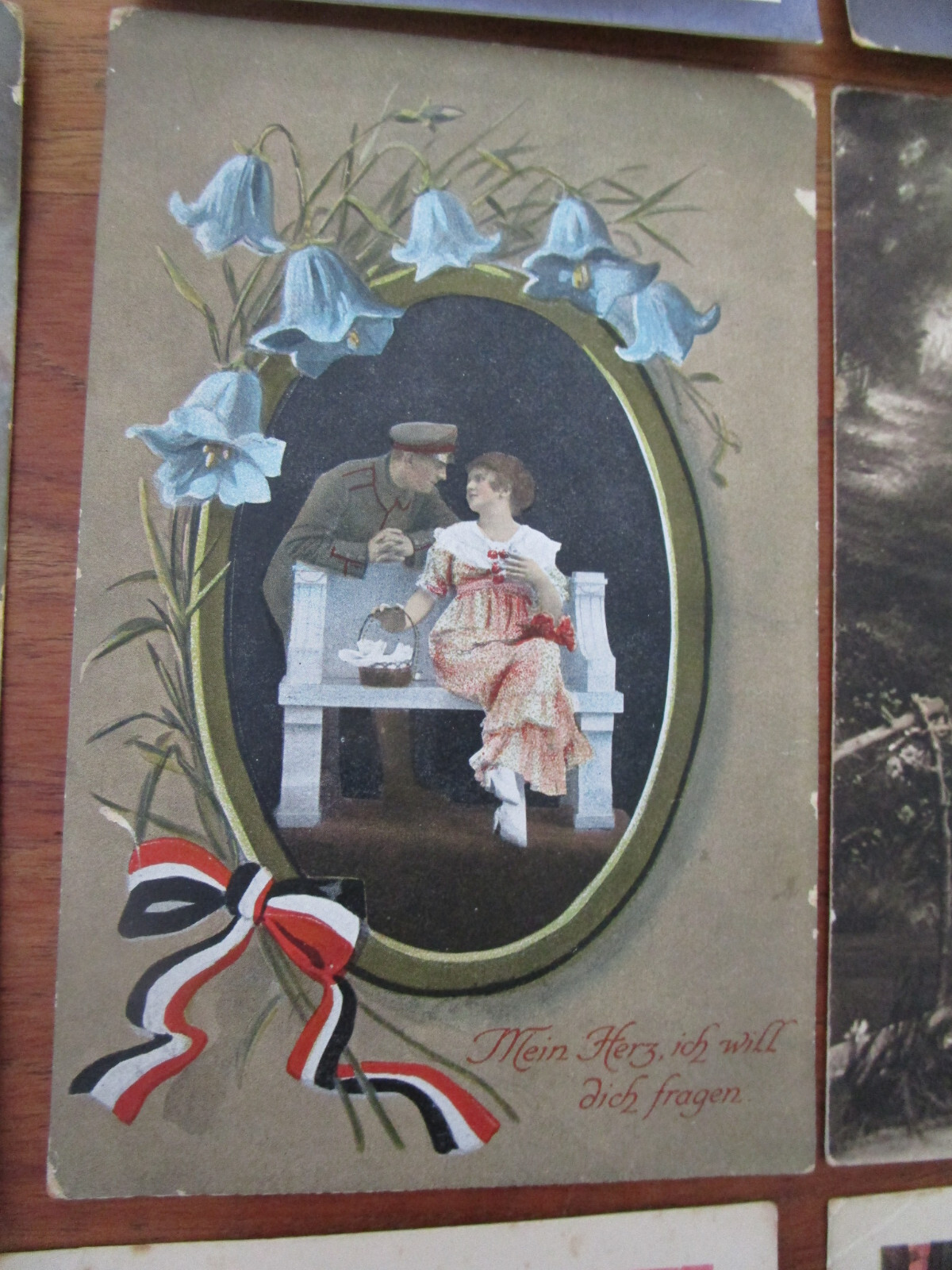Foto 7 di 14