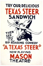 Mason Theater POSTER.Home wall.A Texas Steer.Room Art Decor.325i