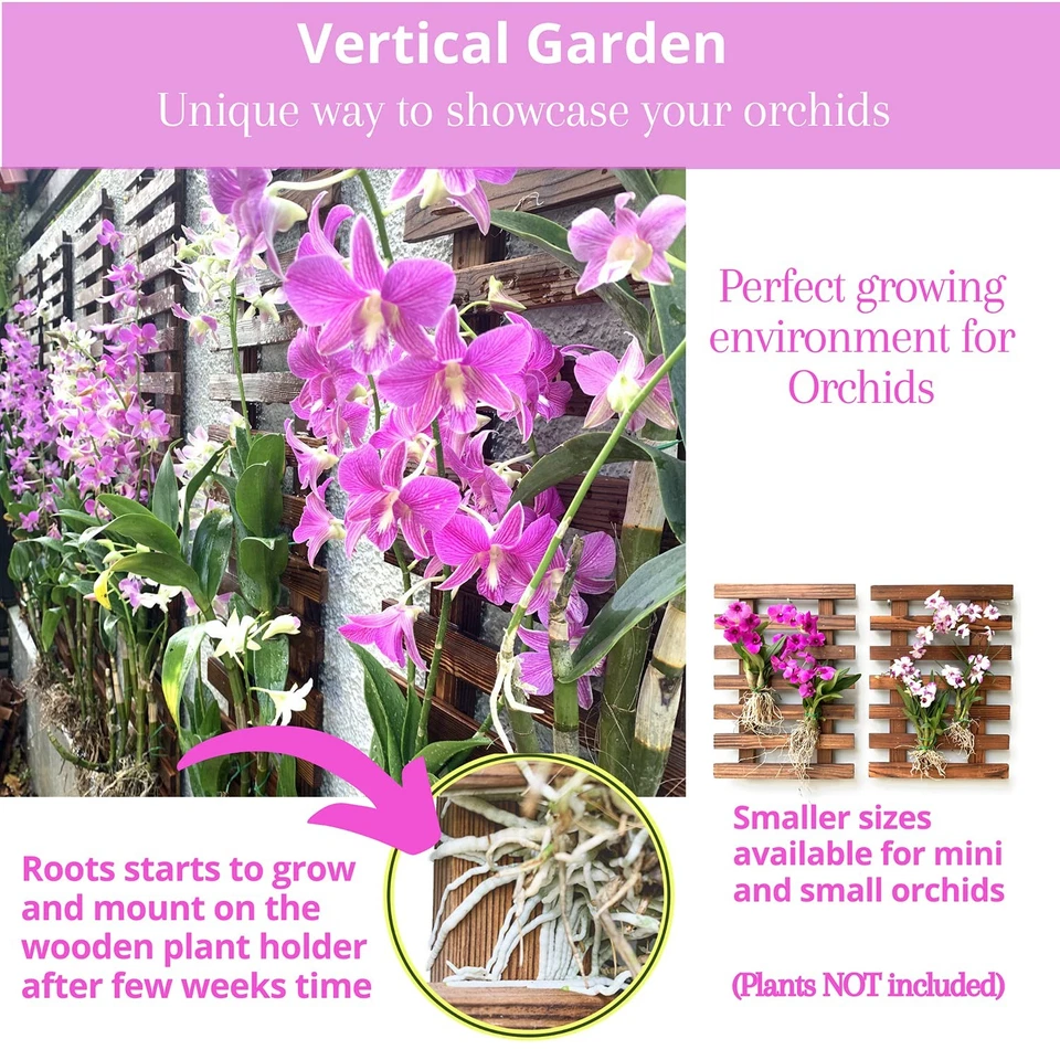 Maceta de pared - Maceta colgante para plantas de interior, soporte para plantas, suc... Foto 4 de 4