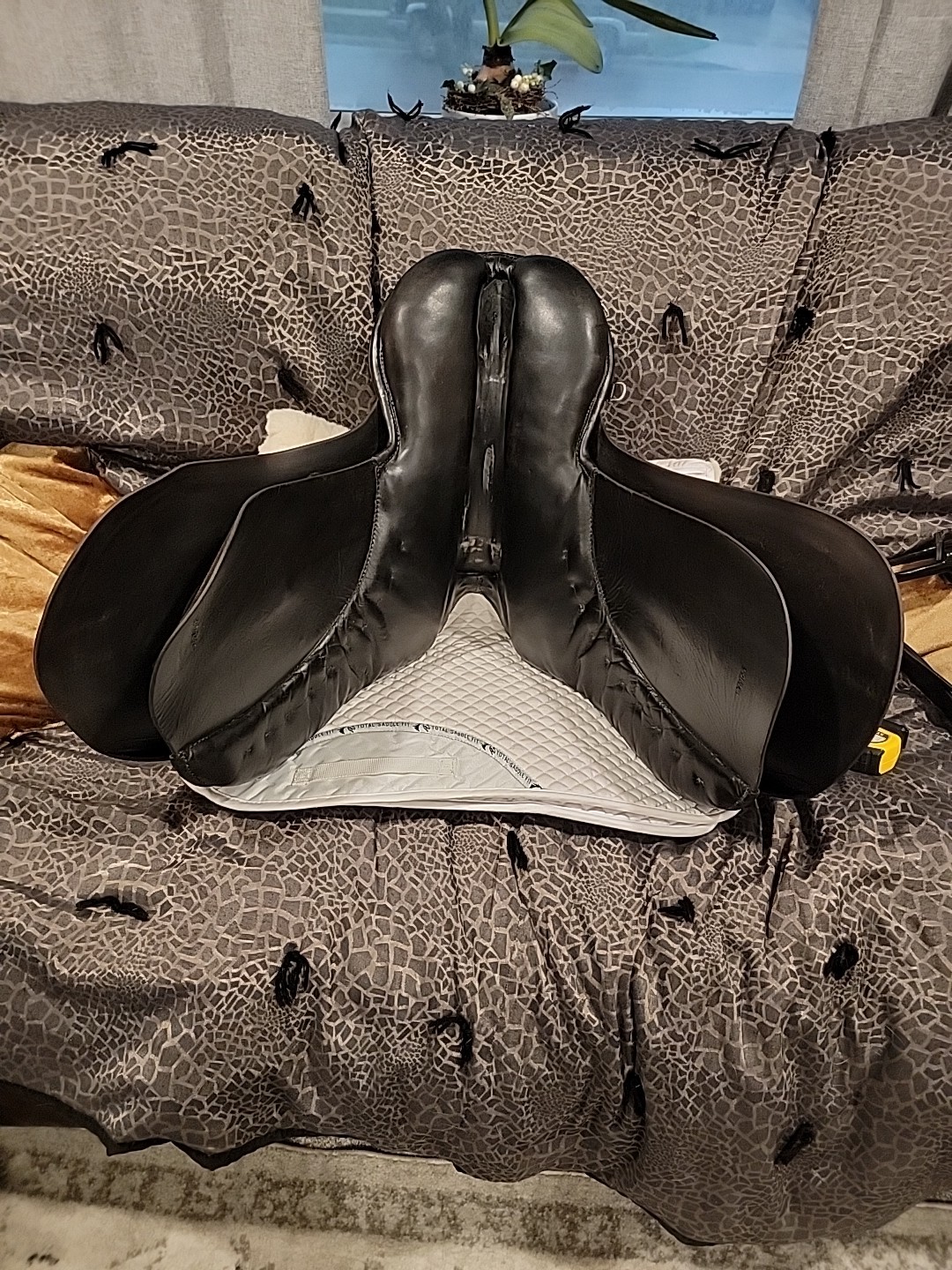 17” Black Passier PS Baum VSD Dressage Saddle Medium tree short billets Longflap