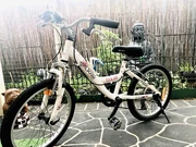 bauer roxxie 20 inch bike