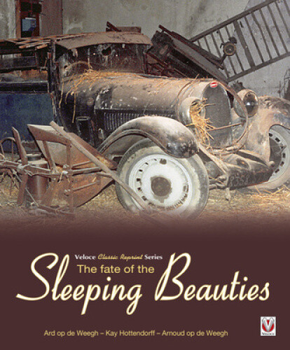 Thumbnail - The Fate Of The Sleeping Beauties By Ard Op De Weegh