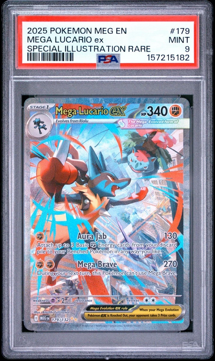 Lucario Holo Pokémon TCG Individual Collectible Card Game Cards