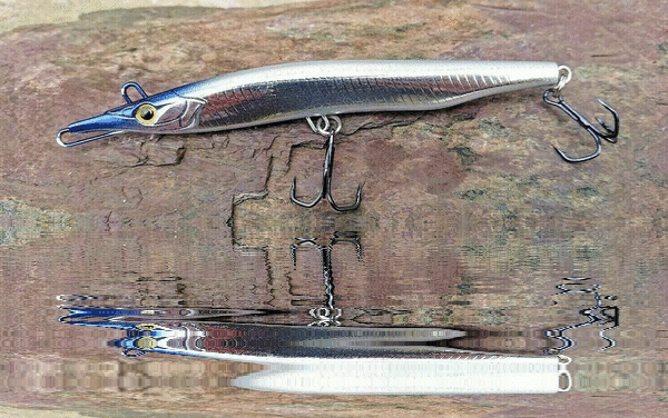 Picture 6 of 31