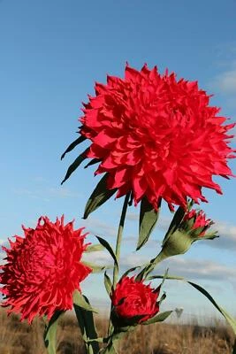 giant crepe paper flower 100 handcrafted decorative paper flower plant care