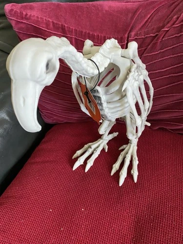 Halloween  Skeleton Plastic  Vulture