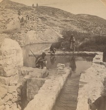 FOUNTAIN OF ELISHA. JERICHO, PALESTINE.